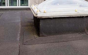 disadvantages of Langrick Bridge flat roofs