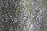 Langrick Bridge fibreglass roof work